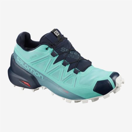 Scarpe Trail Running Salomon SPEEDCROSS 5 GTX W Donna Verde Acqua IT 1-I59